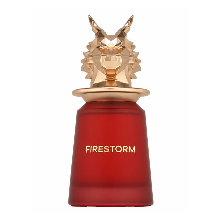 French Avenue

Firestorm Perfume 100ml EDP French Avenue By Fragrance World
